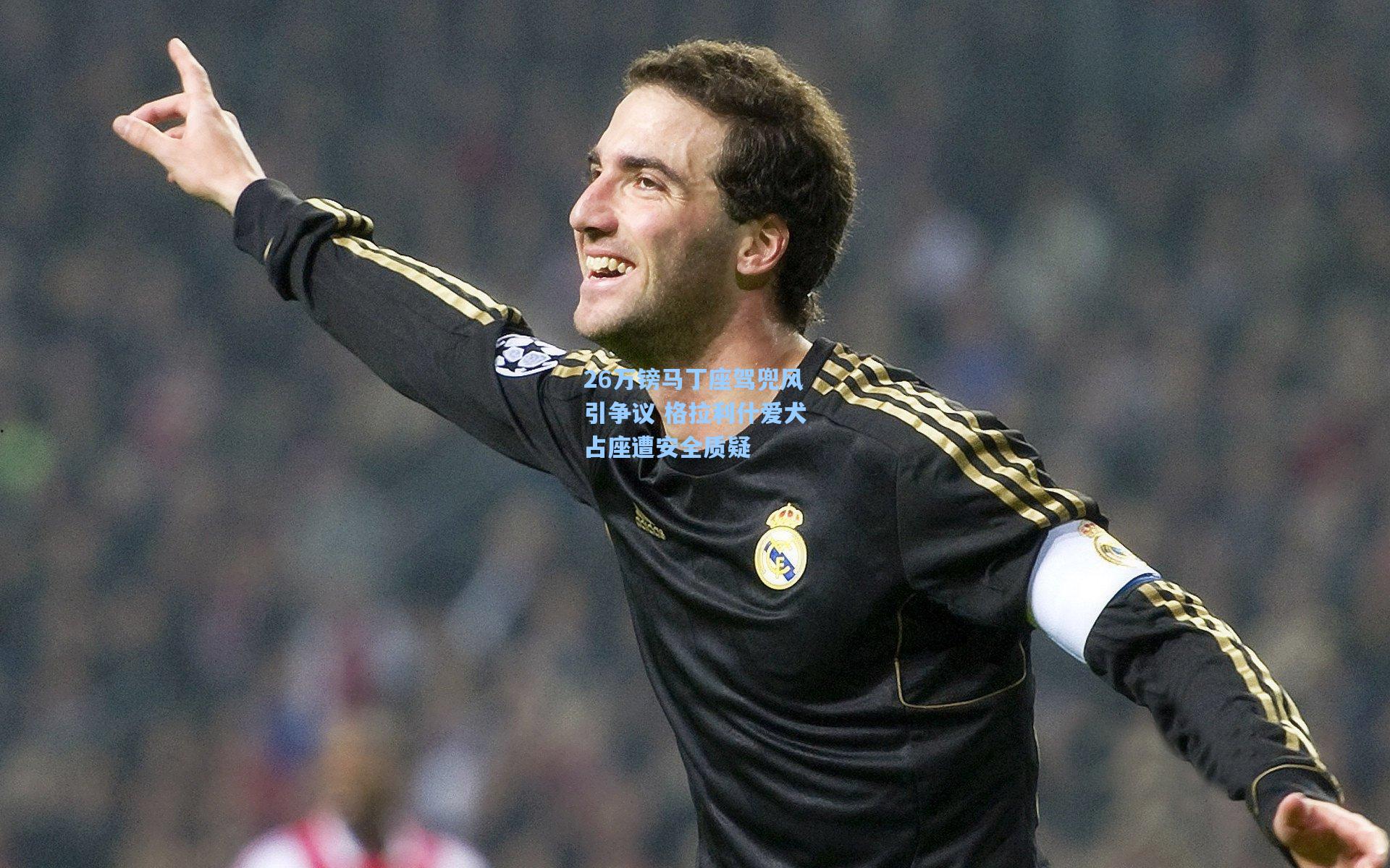 26万镑马丁座驾兜风引争议 格拉利什爱犬占座遭安全质疑